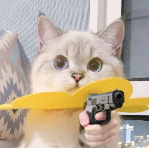 🐾