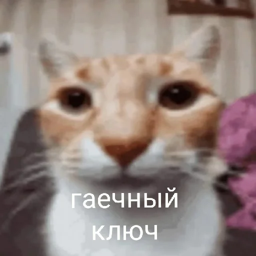 ?