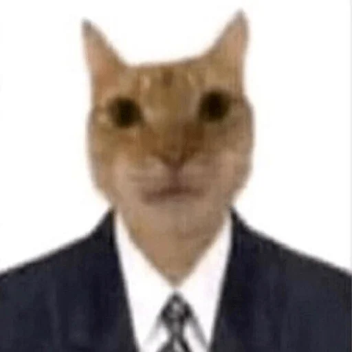 Эмодзи мемные животные