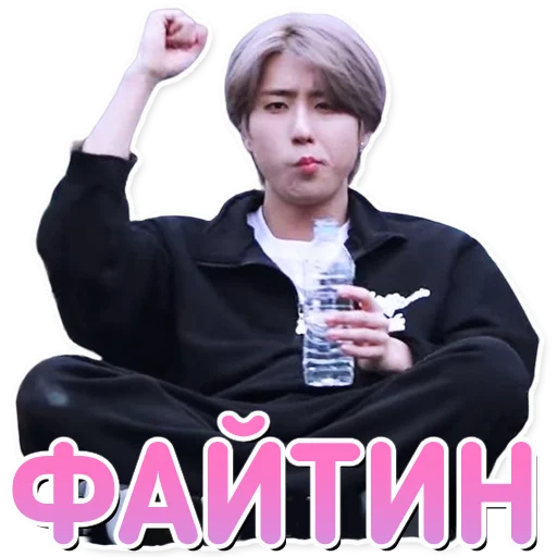 Эмодзи Stray Kids