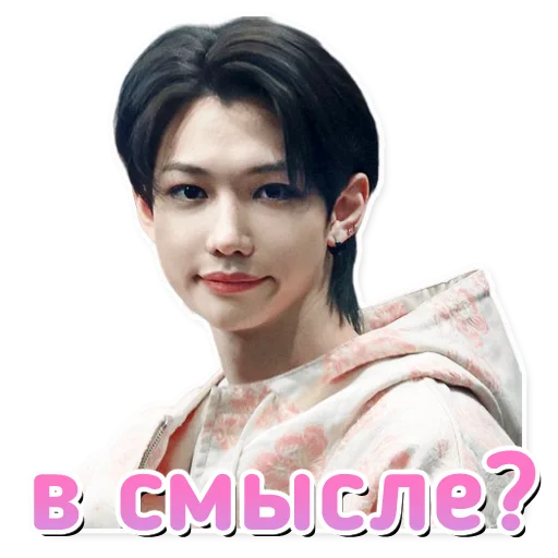 Эмодзи Stray Kids