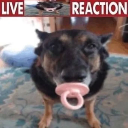 ?