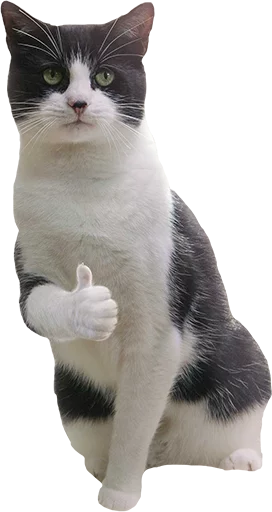 Эмодзи slidan.png