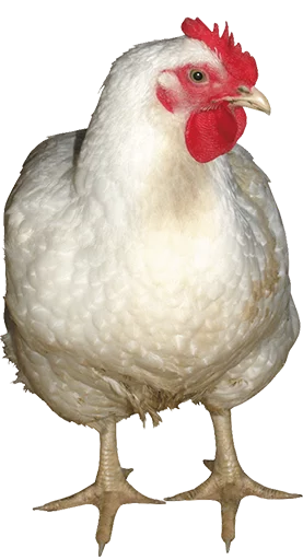 Эмодзи slidan.png