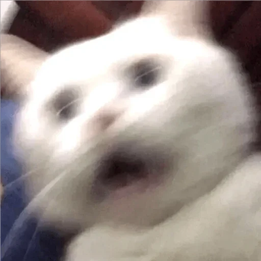 ?