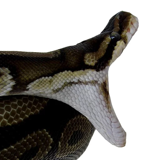 Эмодзи Laughing Sneks