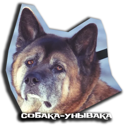 Эмодзи sobaka udivlaka