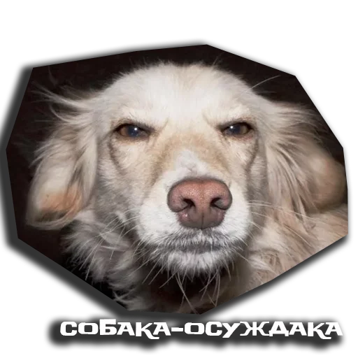 Эмодзи sobaka udivlaka