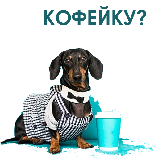 ?