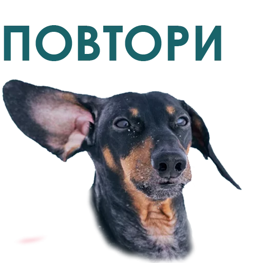 Эмодзи Собака Правдоруб