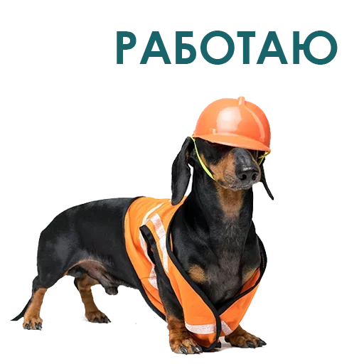Эмодзи Собака Правдоруб