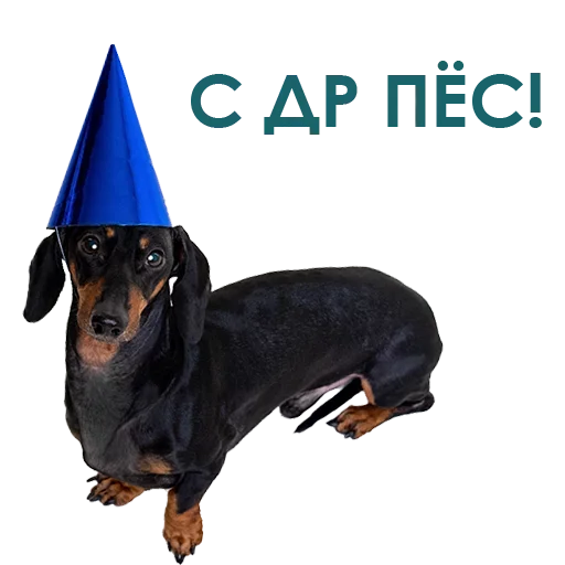 Эмодзи Собака Правдоруб