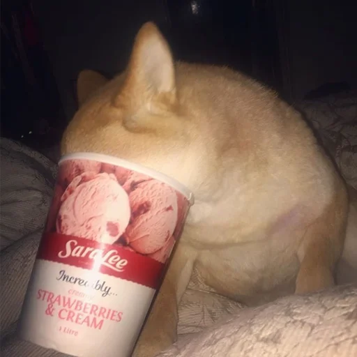 Эмодзи sobakens