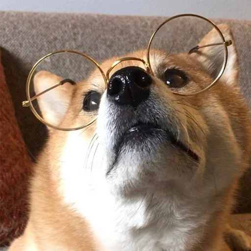 Эмодзи sobakens