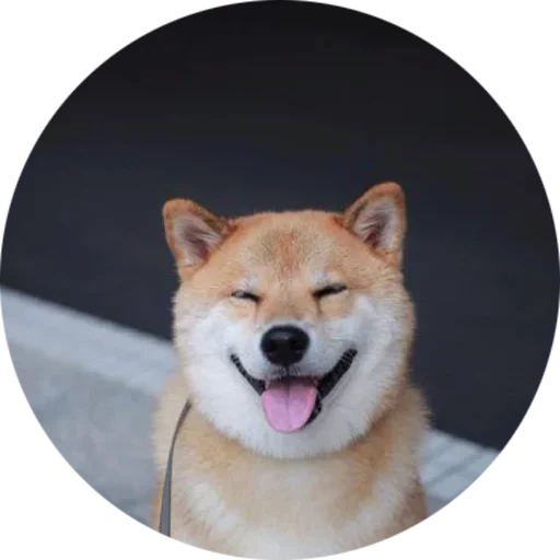 Эмодзи Собаки это Любовь