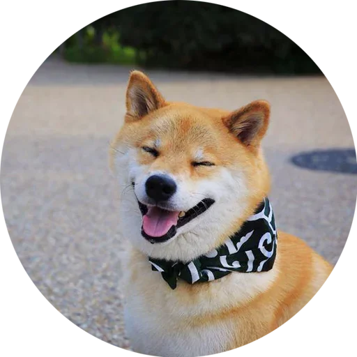 Эмодзи Собаки это Любовь