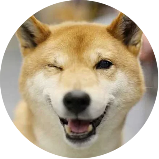 Эмодзи Собаки это Любовь