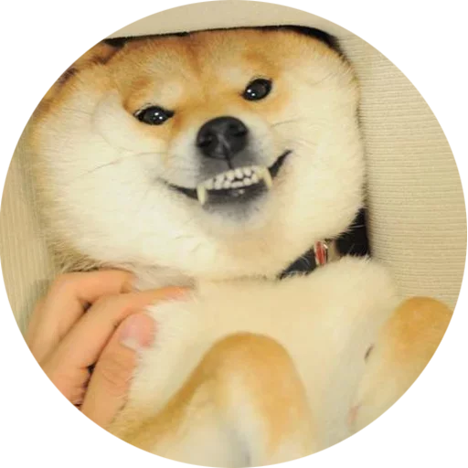 Эмодзи Собаки это Любовь