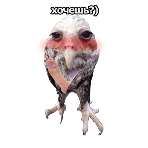 Эмодзи Солевая сова