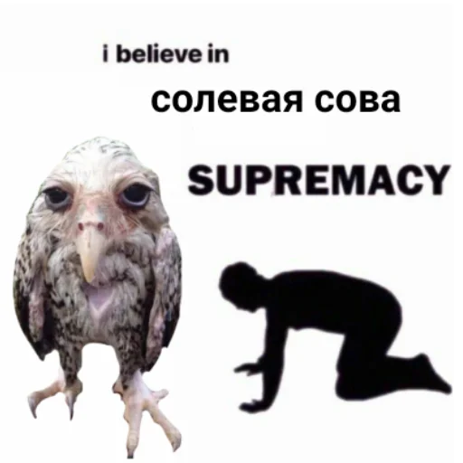 Эмодзи Солевая сова