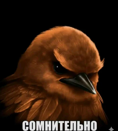 Эмодзи Birds Memes