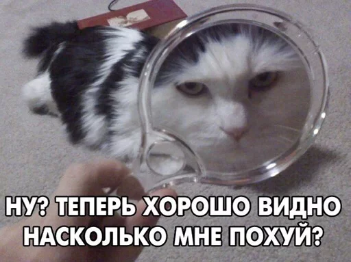 Эмодзи Сомнительные Стикеры