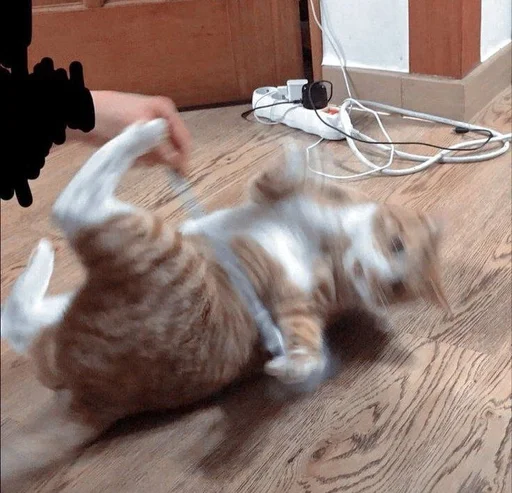 Эмодзи Animals