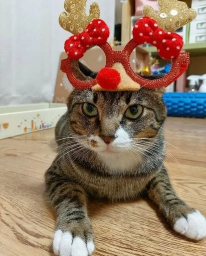 Эмодзи Animals