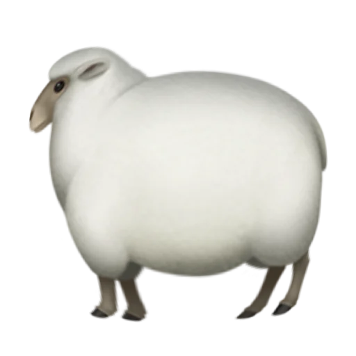 🐑