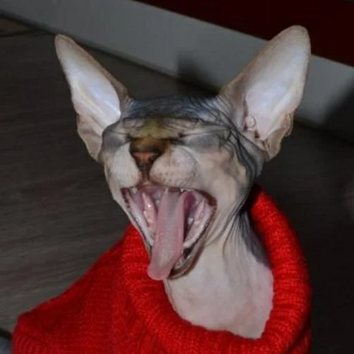 Эмодзи sphynx cat