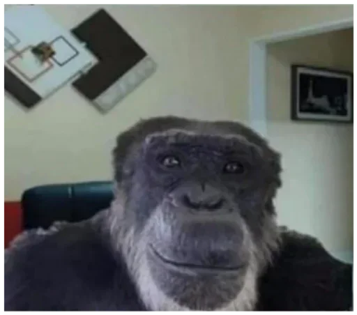 ?
