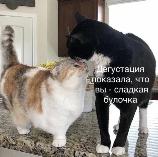 Эмодзи spokysa