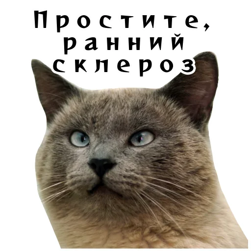 Эмодзи Спящий Режим