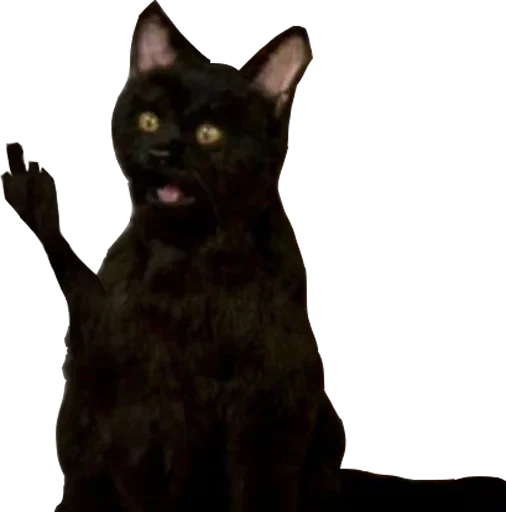 Эмодзи Срач Начинается