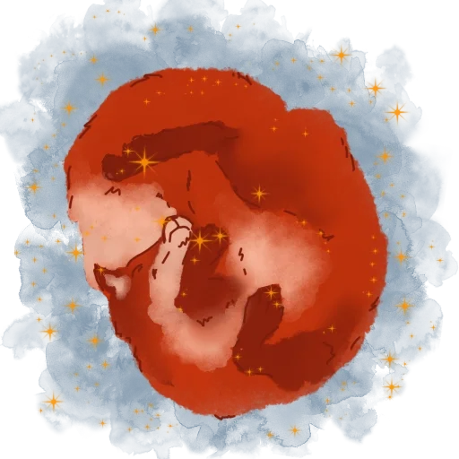 Эмодзи кот и лис