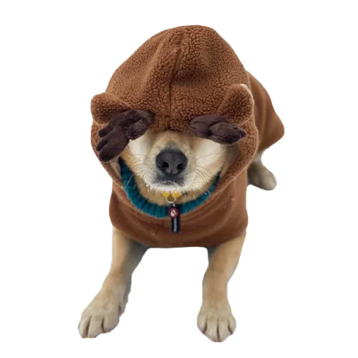 Эмодзи stickers