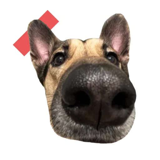 Эмодзи stickers