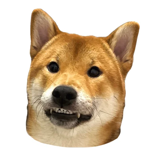 Эмодзи stickers