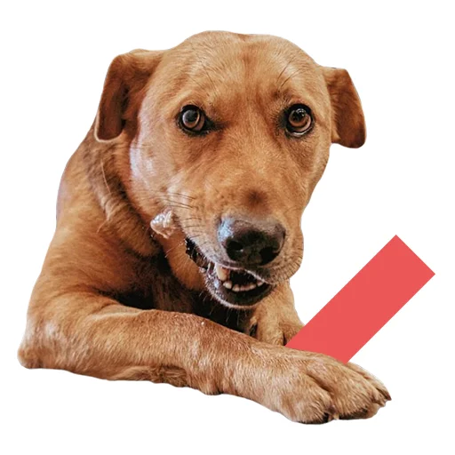 Эмодзи stickers