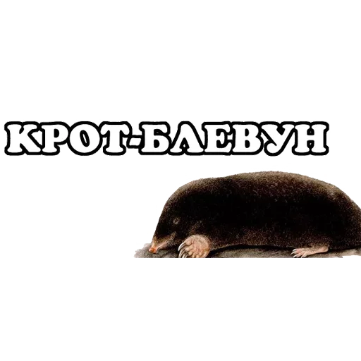 Эмодзи Sparrow