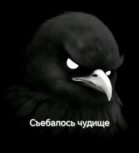 Эмодзи Birds Memes