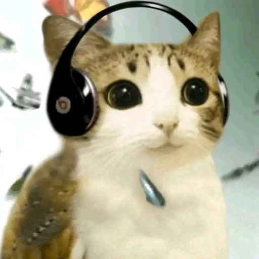 Эмодзи Meowl