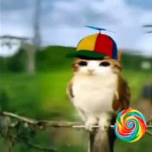 Эмодзи Meowl