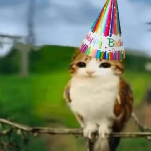 Эмодзи Meowl