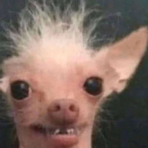 😃