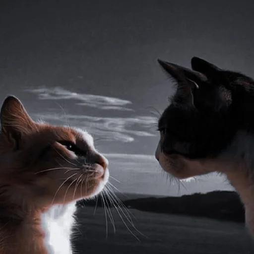 Эмодзи Cutest Cats