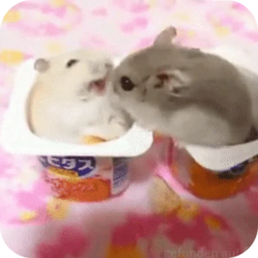 Эмодзи Hamsters