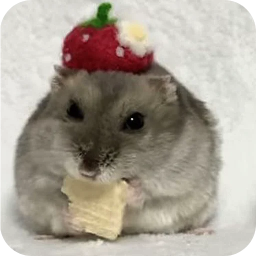 Эмодзи Hamsters