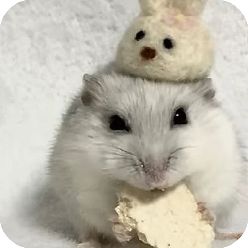 Эмодзи Hamsters