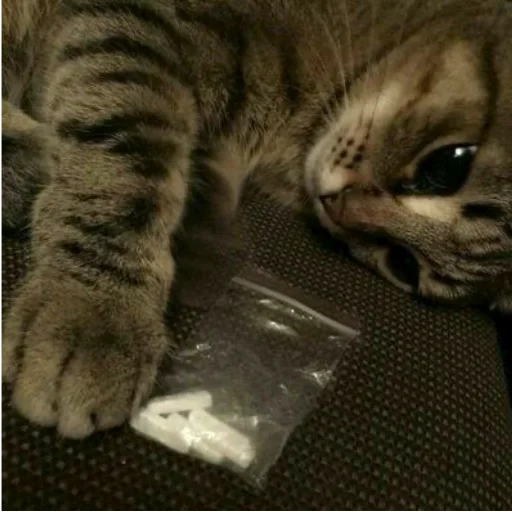 Эмодзи Наліпки